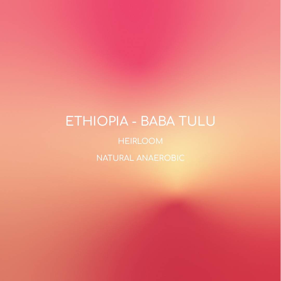 ETHIOPIA - BABA TULU | أثيوبيا - بابا تولو 