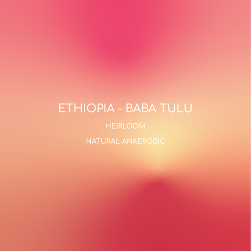 ETHIOPIA - BABA TULU | أثيوبيا - بابا تولو 