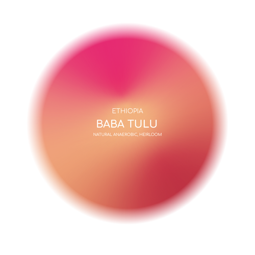 ETHIOPIA - BABA TULU