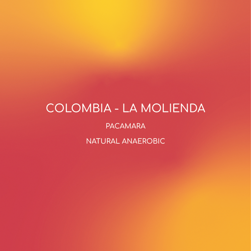 COLOMBIA - LA MOLIENDA