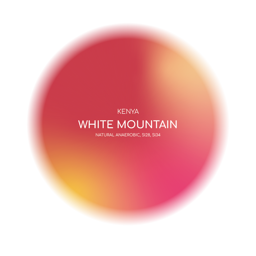 KENYA - WHITE MOUNTAIN